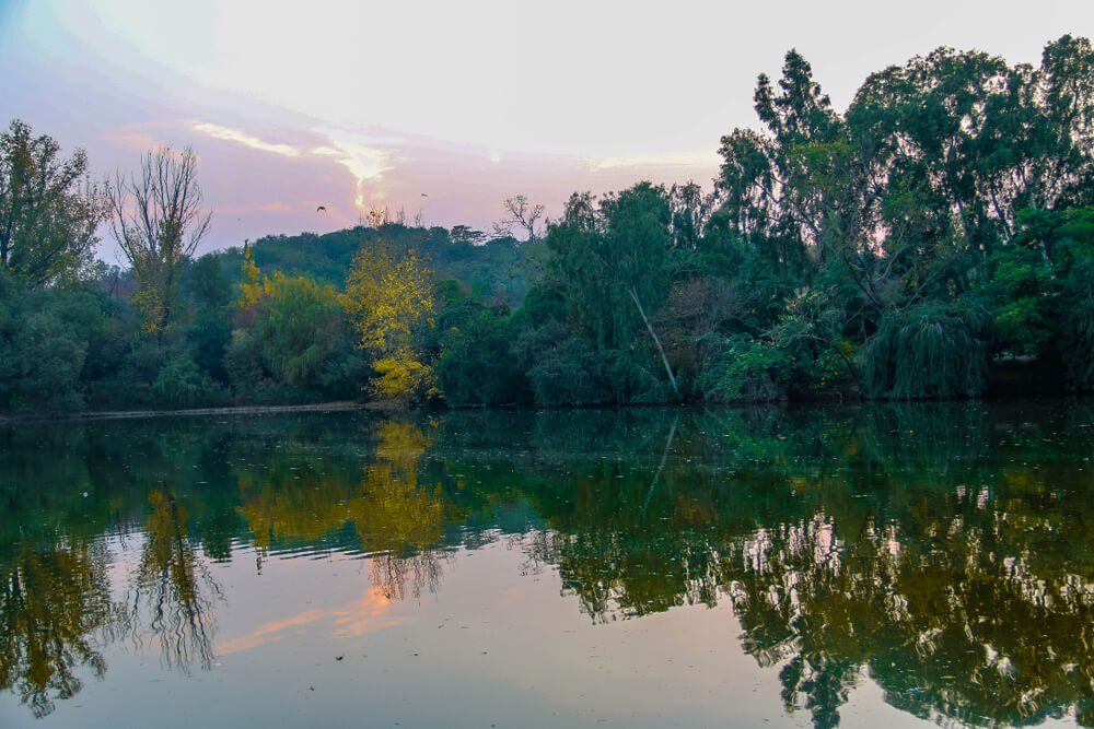 Ayub National Park