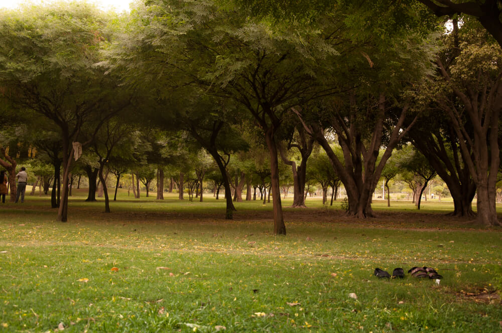 Model Town Park in Lahore, Pakistan.