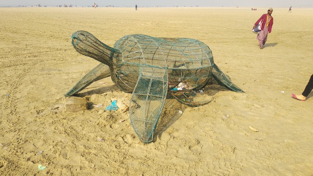 Turtle beach karachi