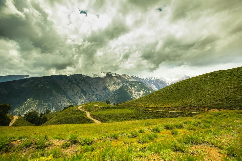 Chitral Gol National Park