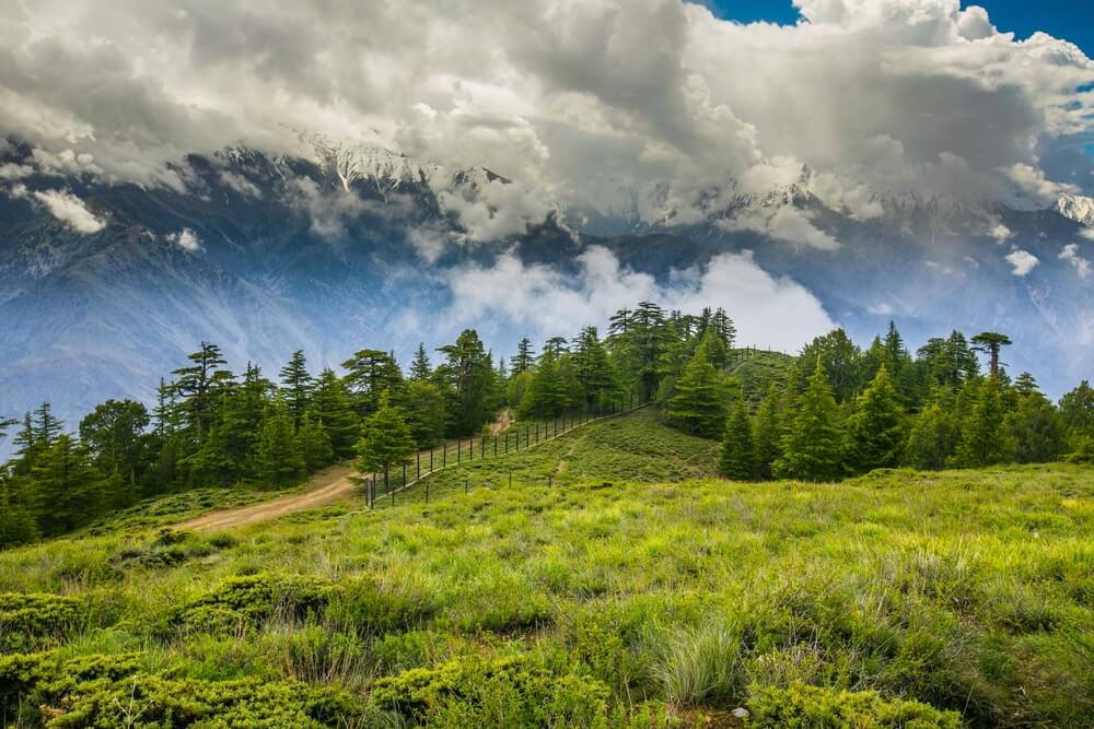 Chitral Gol National Park