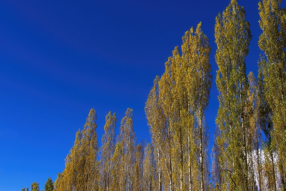 Paradise Point Pakistan