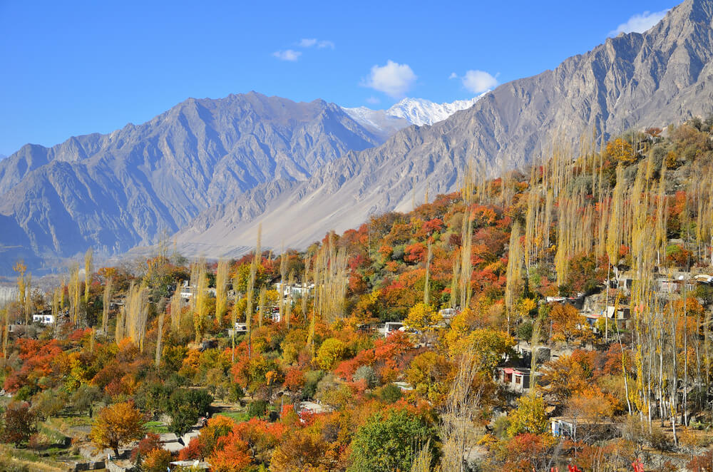 Eagle Nest View Point 