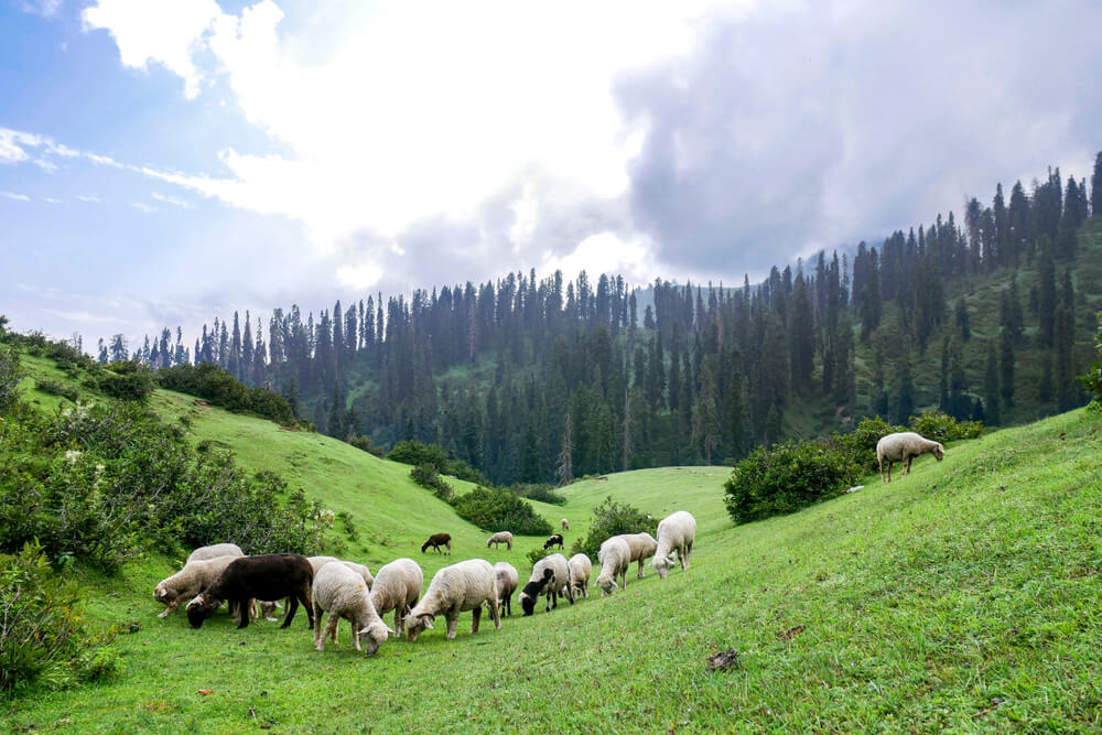 swat valley places to visit