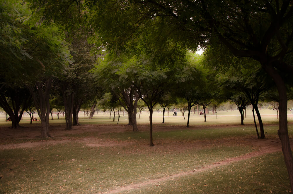 Model Town Park