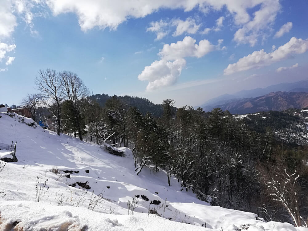 murree tour and