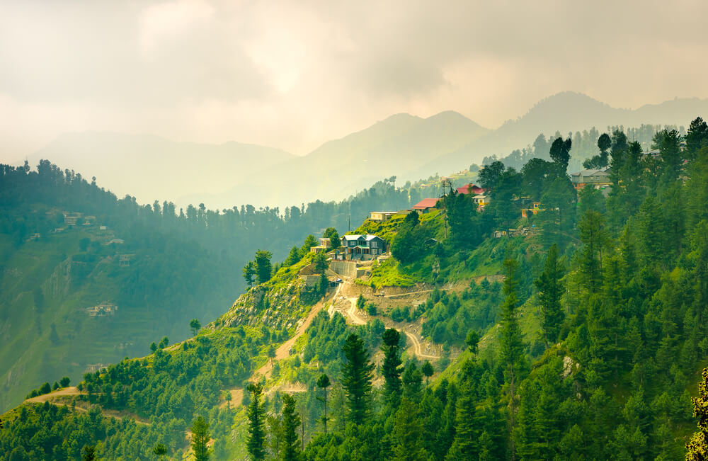 Murree Hillside