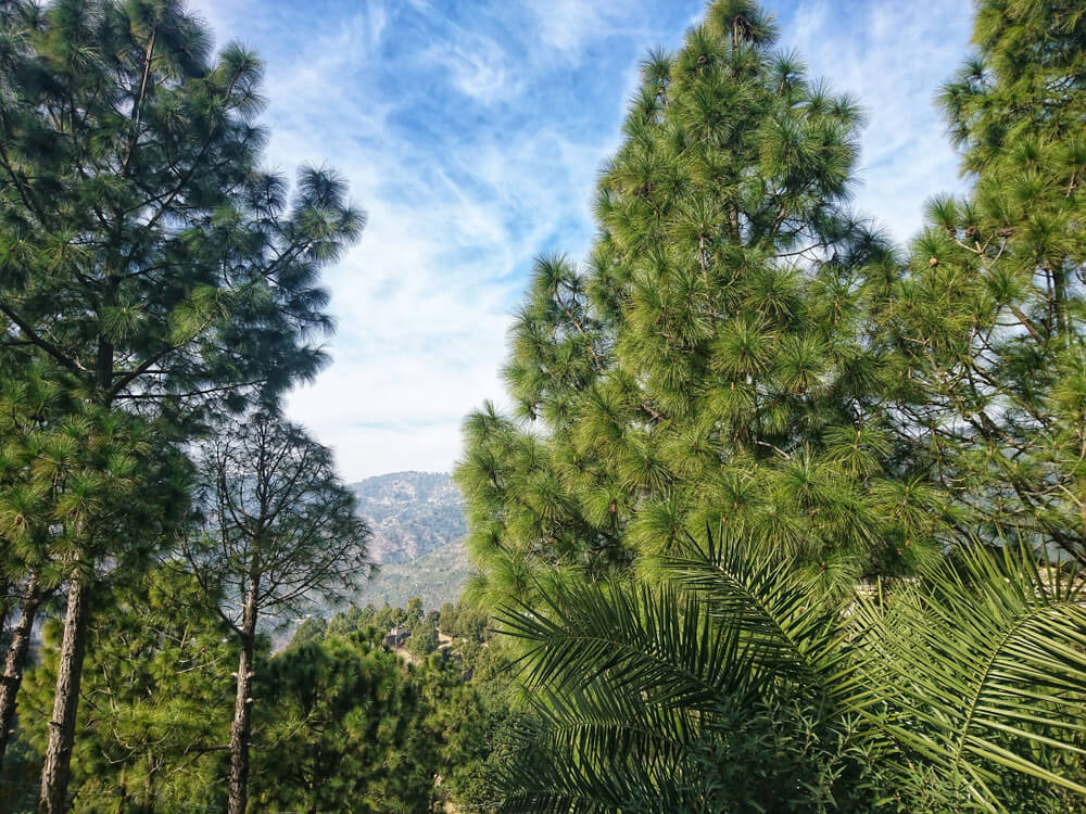 Pir Sohawa