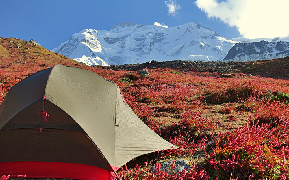 Rakaposhi