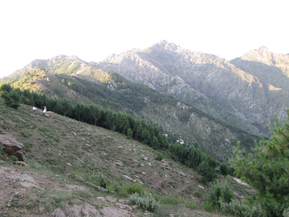 Shangla Top Swat