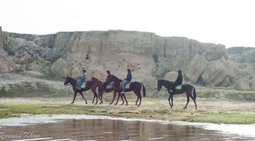 Zacky Farms Polo Club