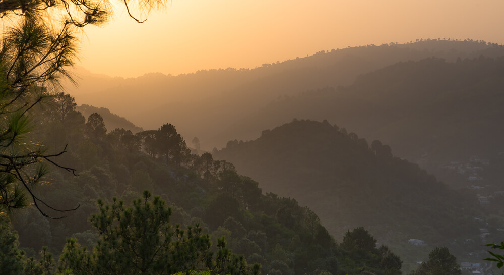 Ayubia National Park