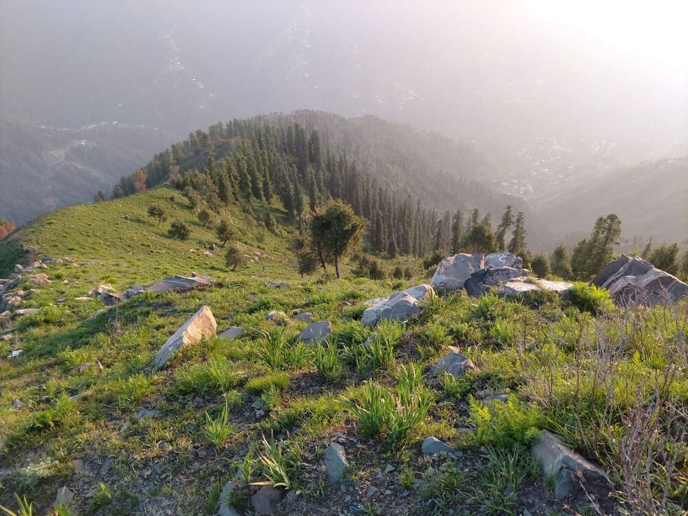 Ayubia National Park