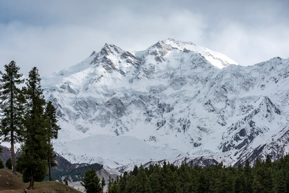 Fairy Meadows