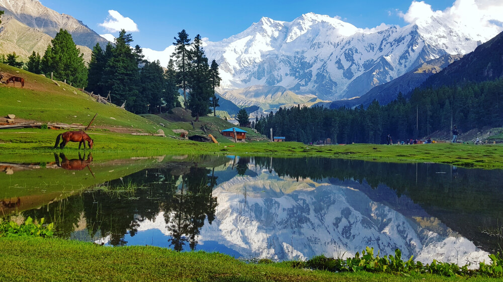 Fairy Meadows