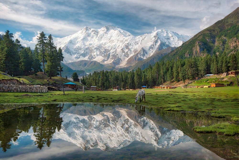 Fairy Meadows