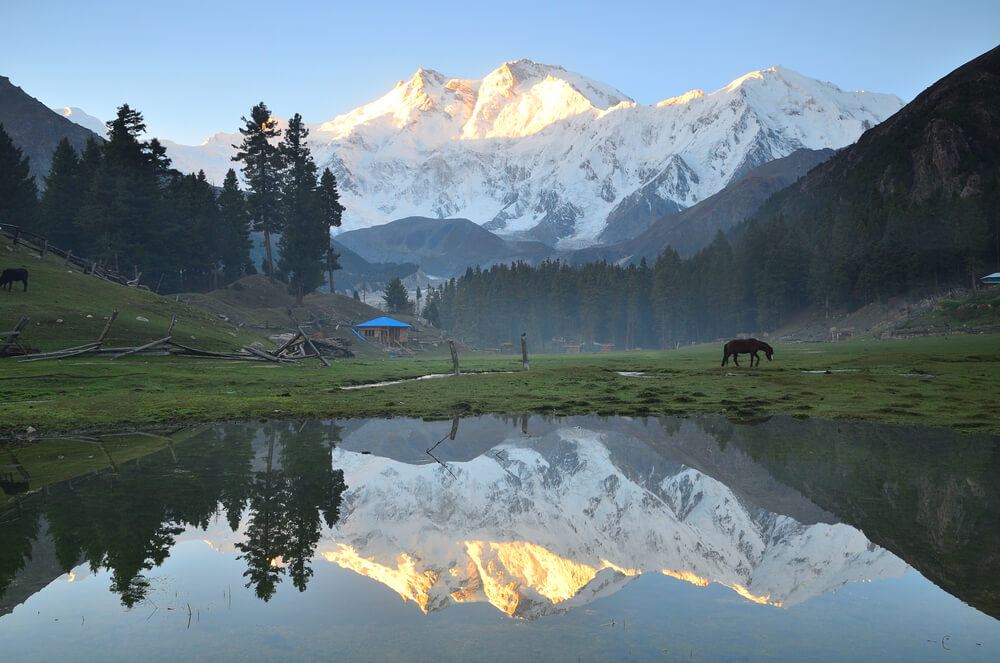 Fairy Meadows