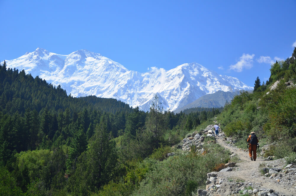 Fairy Meadows