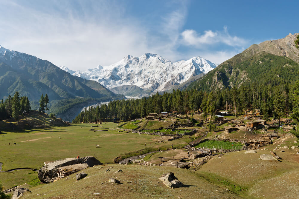 Fairy Meadows