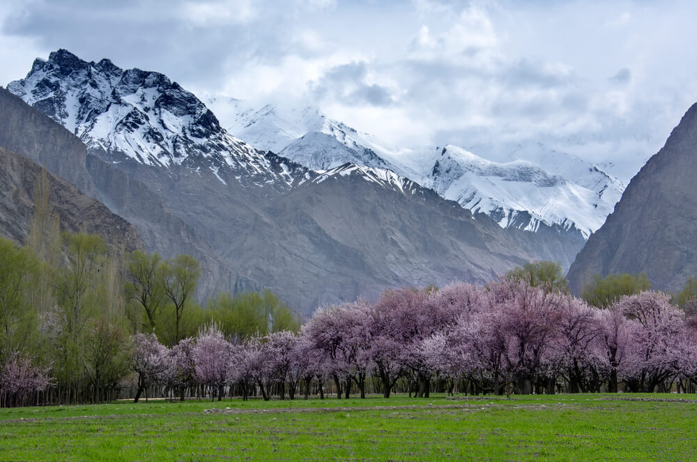 Gilgit Baltistan