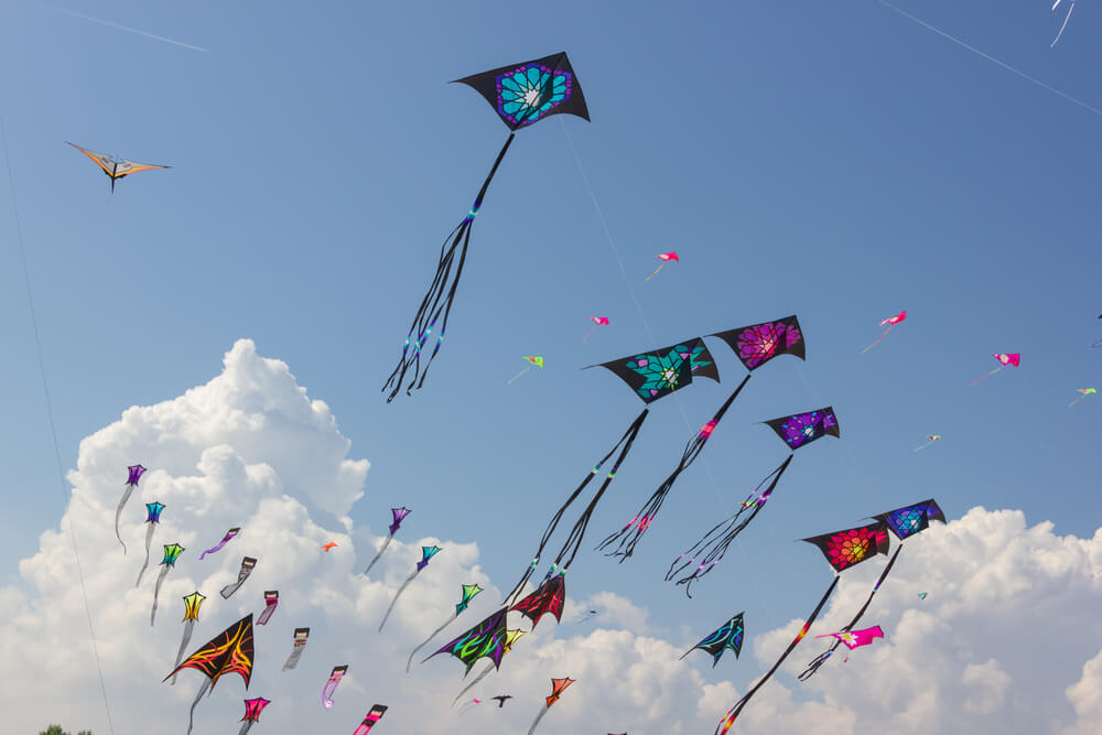 Kite