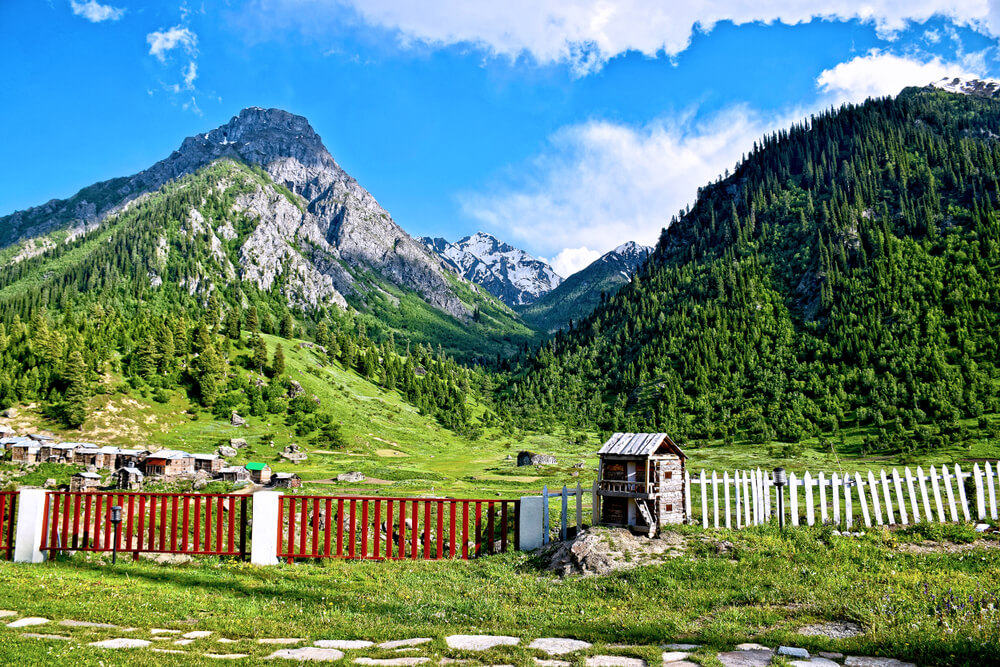 Minimarg