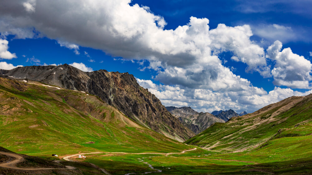 Minimarg