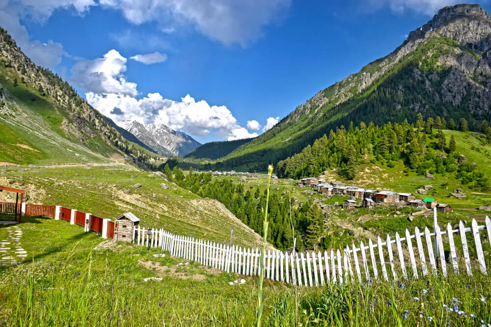 Minimarg