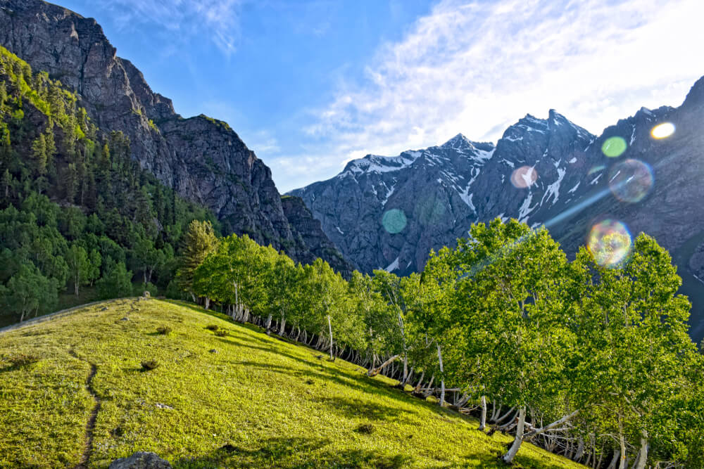 Minimarg