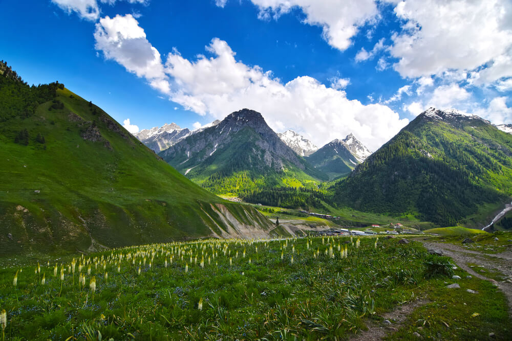 Minimarg