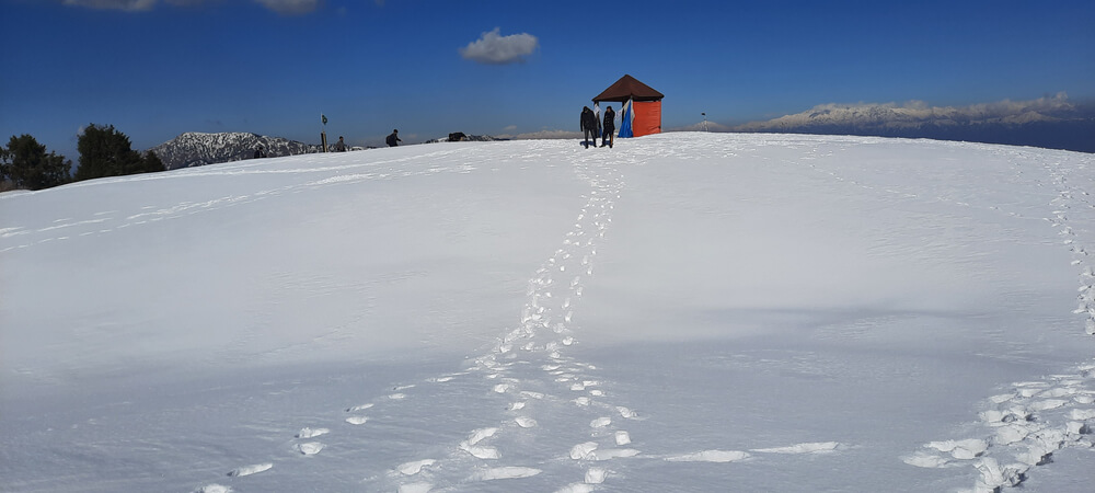 Mushkpuri Top