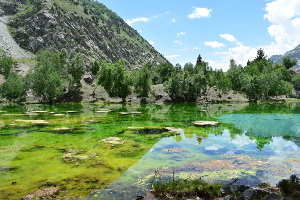 Naltar Valley