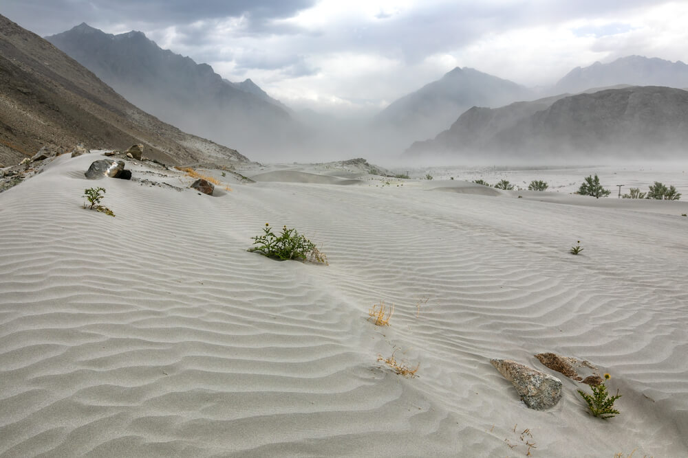 Sarfaranga Desert