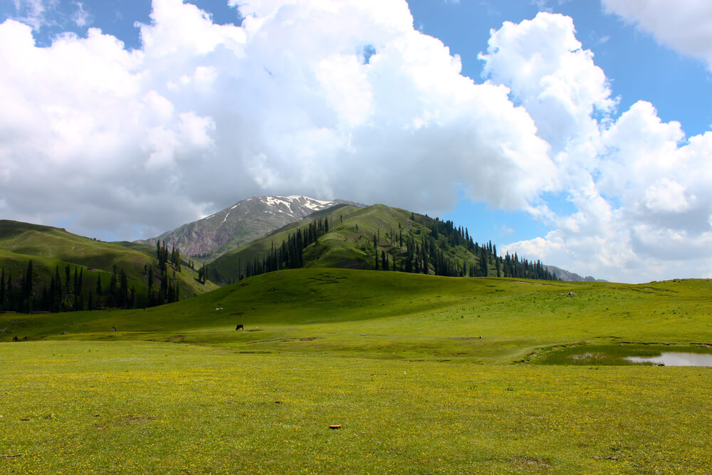 Shogran