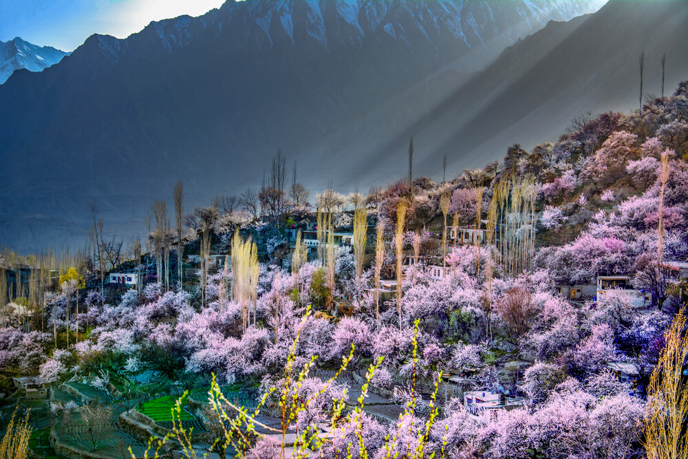 gilgit baltistan in spring