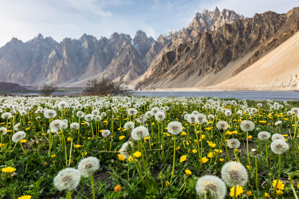 gilgit baltistan in summer