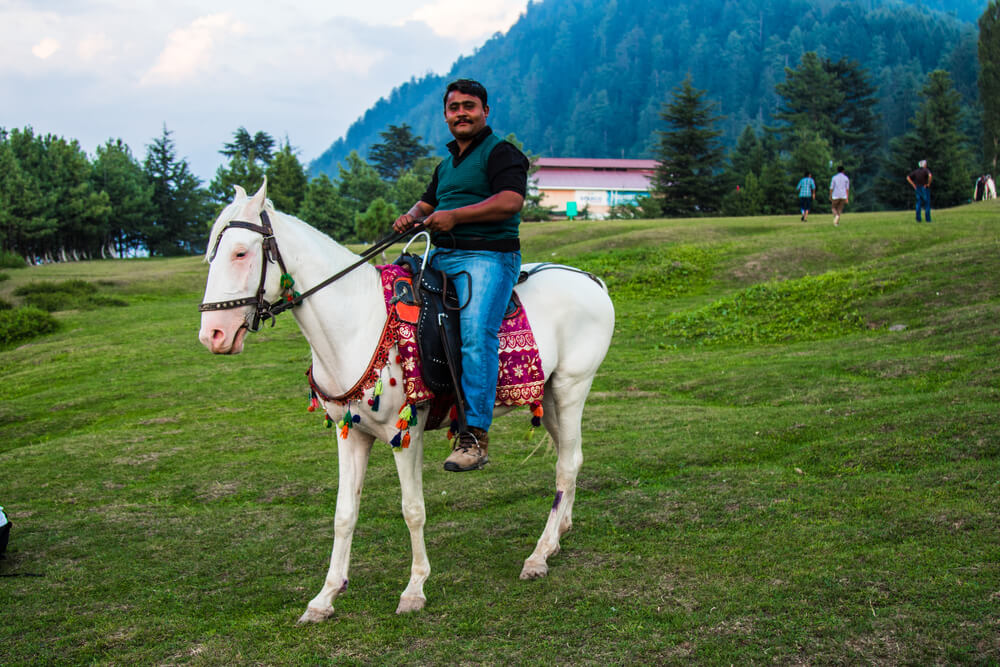 horse riding shogran