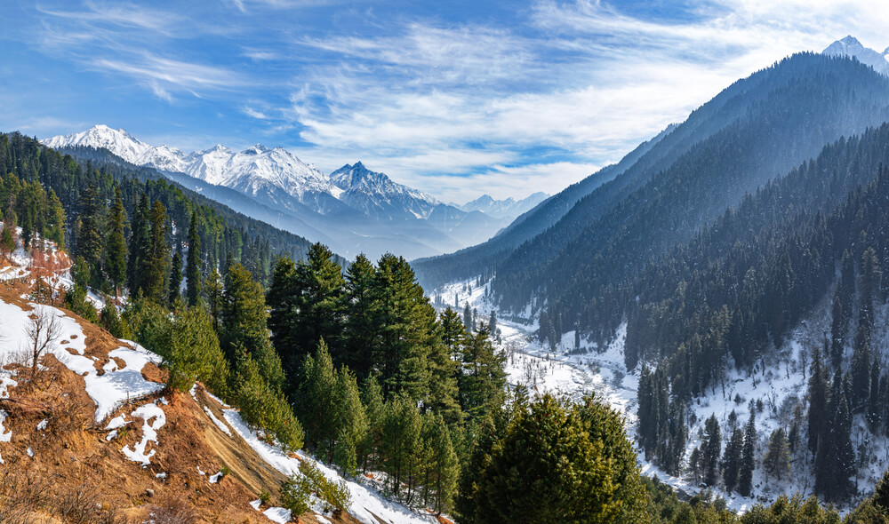 kashmir