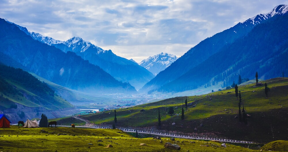 kashmir