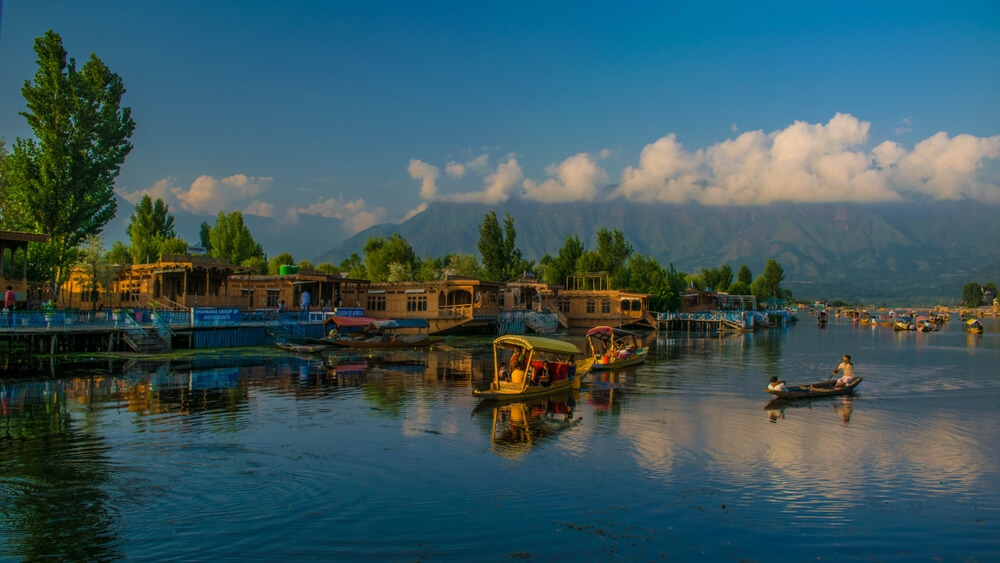 kashmir