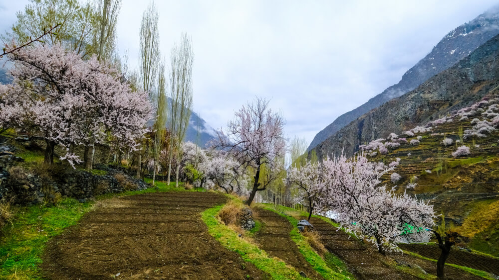 naltar valley