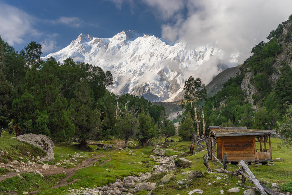 nanga parbat