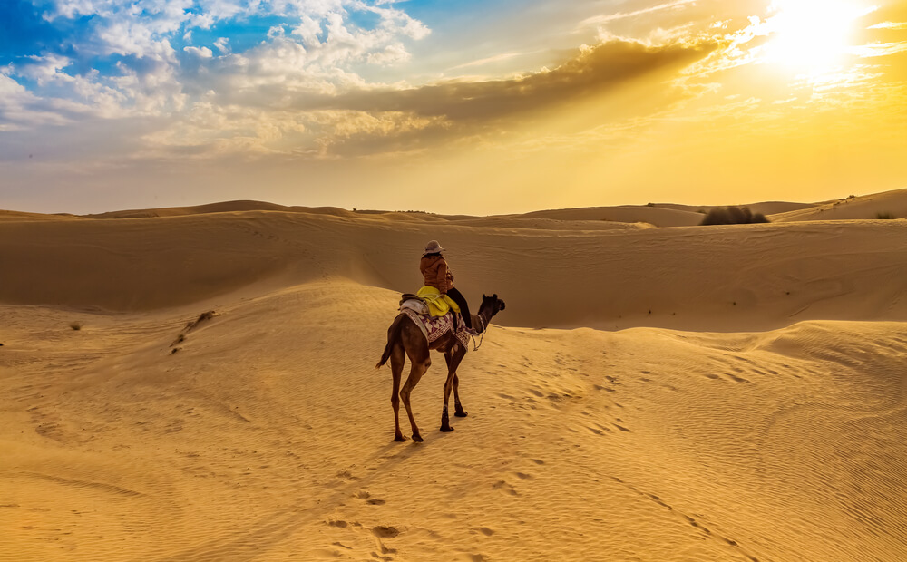 thar desert