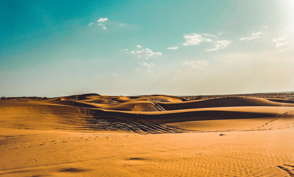 thar desert