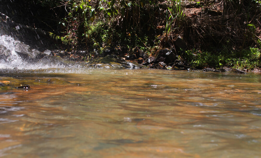 Hakra River