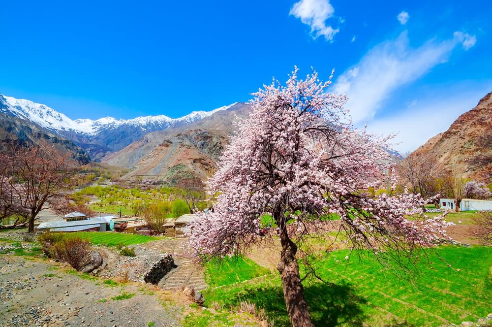 Shigar Valley