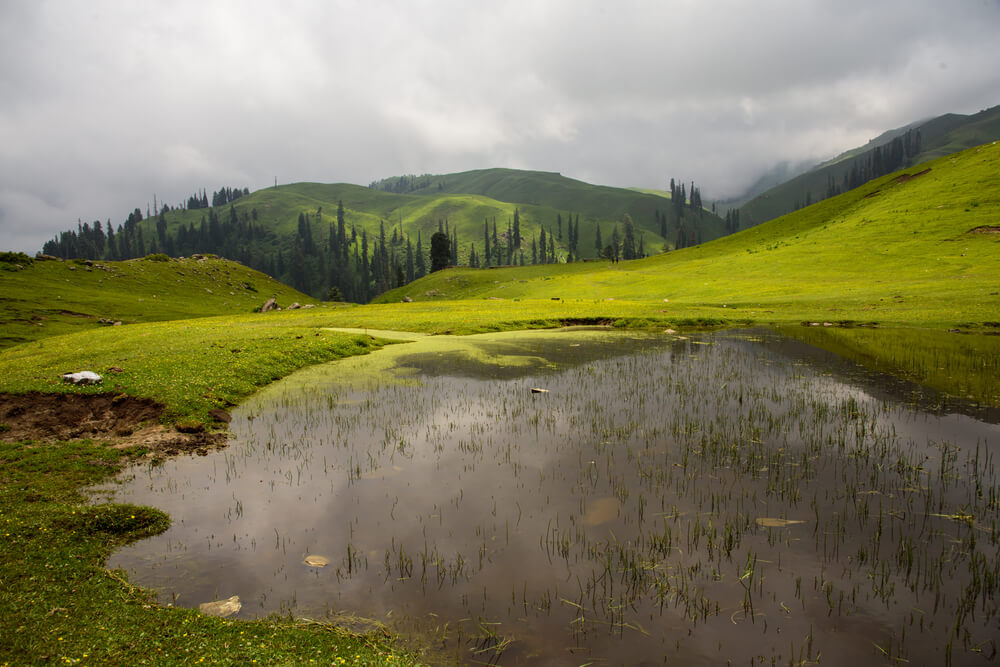 Shogran