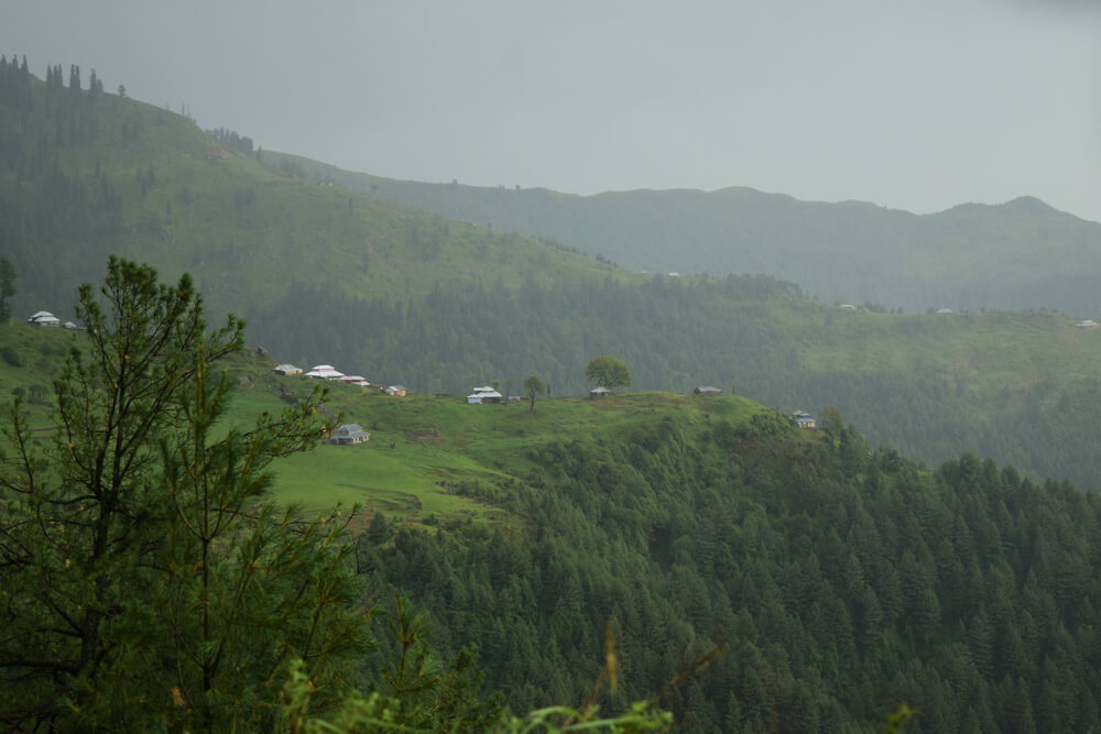 Toli Peer