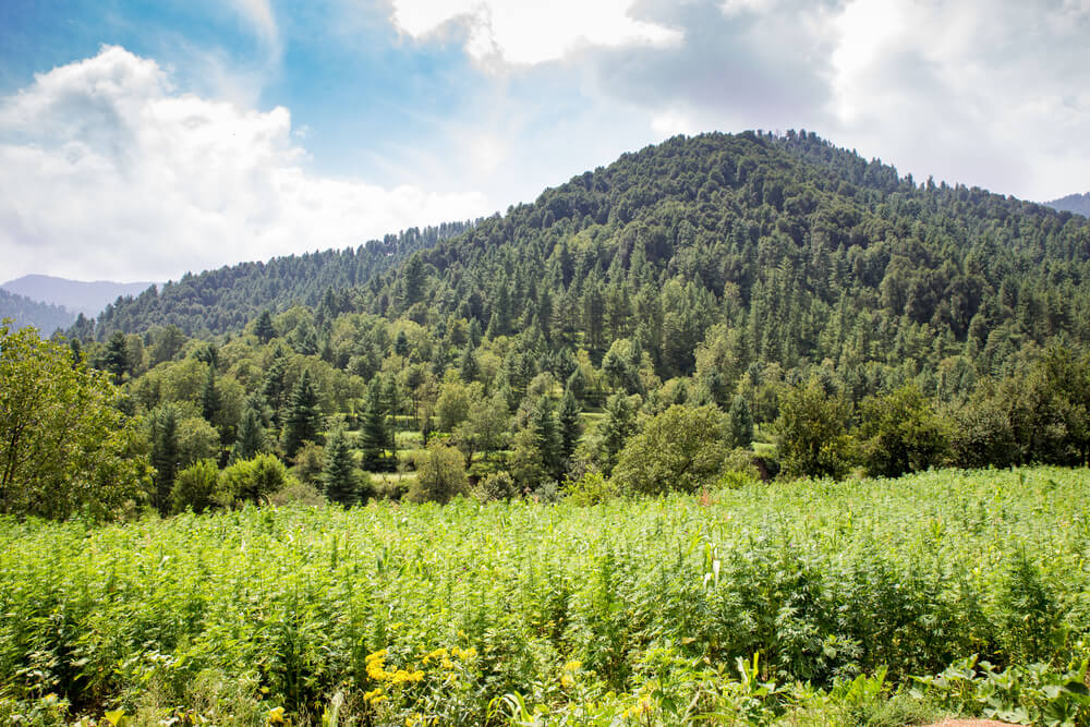 tirah valley