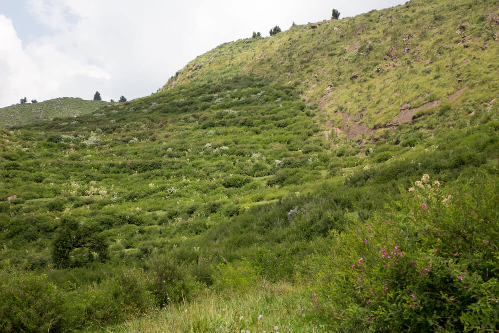 tirah valley